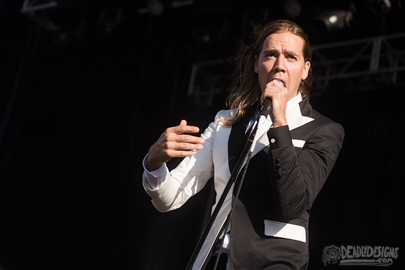 The Hives