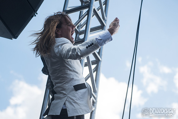 The Hives
