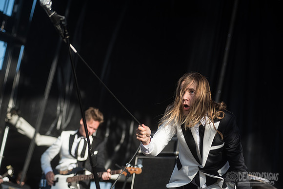 The Hives