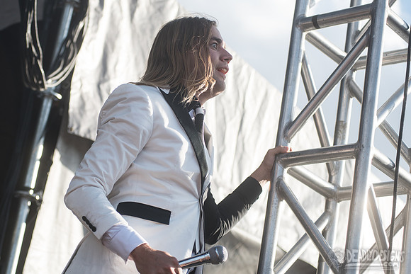 The Hives