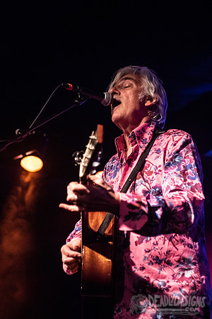 Robyn Hitchcock