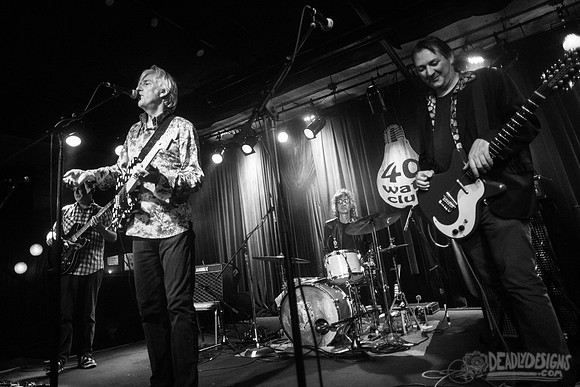 Robyn Hitchcock