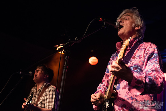 Robyn Hitchcock
