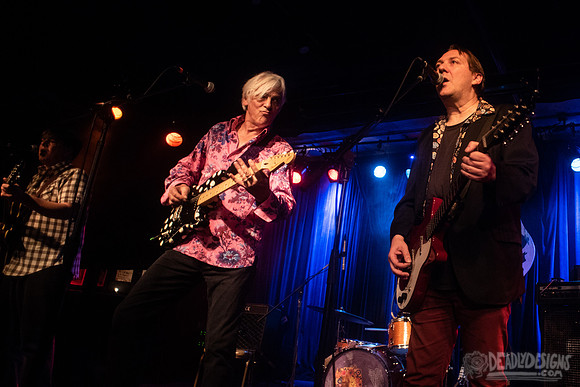 Robyn Hitchcock