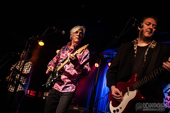 Robyn Hitchcock