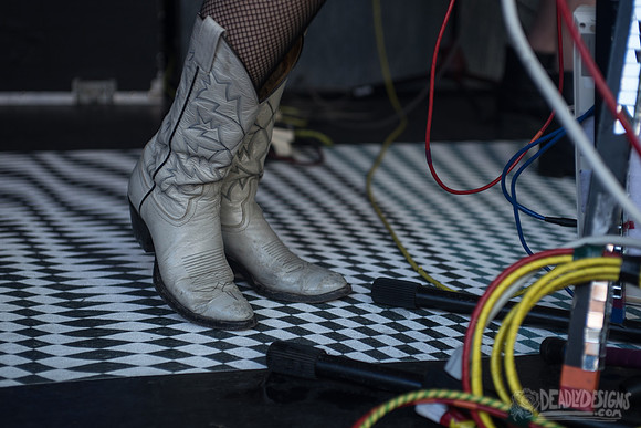 The Octopus Project