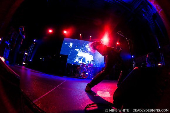Mastodon