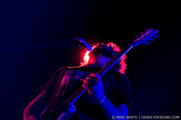 Mastodon