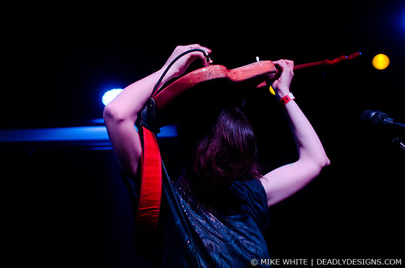 Wild Flag