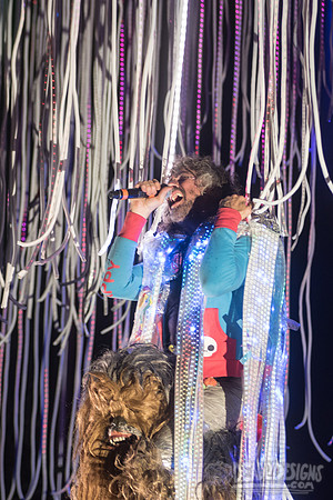 The Flaming Lips