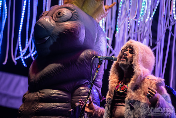 The Flaming Lips