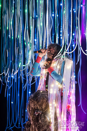 The Flaming Lips