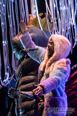 The Flaming Lips