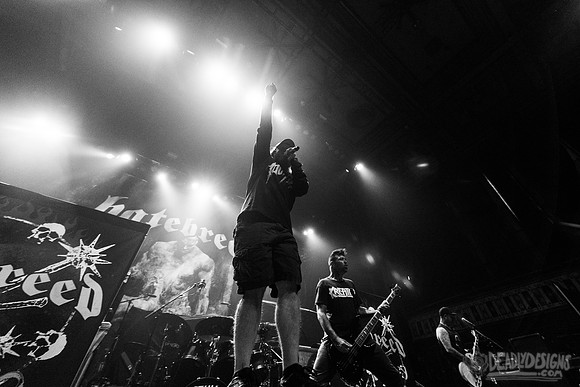 Hatebreed