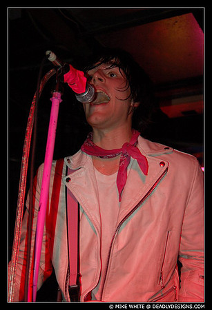 The Pink Spiders