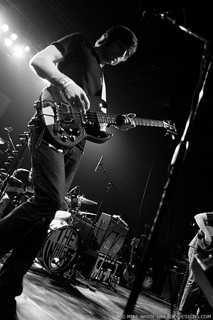 The Whigs