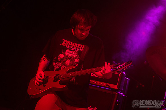 Narrow Head