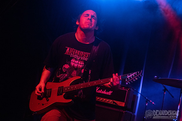 Narrow Head