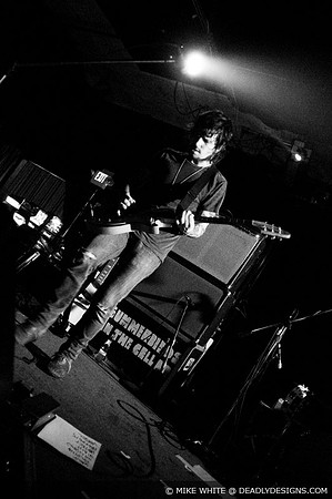 Summerbirds in the Cellar