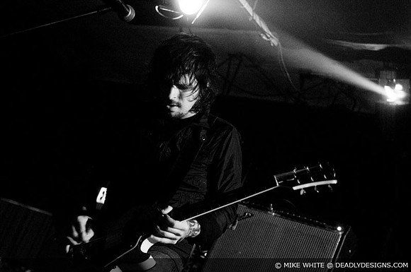 Summerbirds in the Cellar