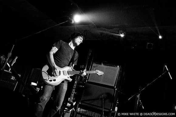 Summerbirds in the Cellar