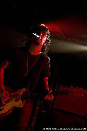 Summerbirds in the Cellar