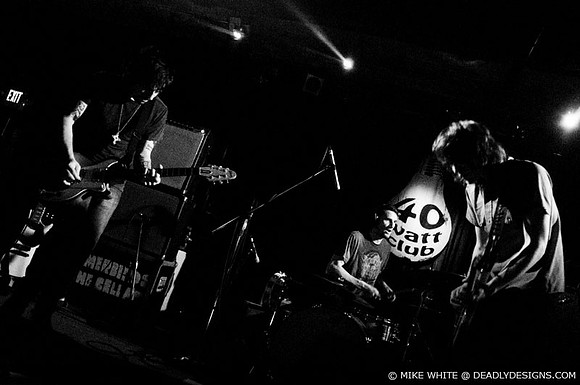 Summerbirds in the Cellar