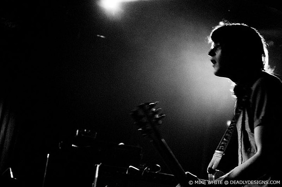 Summerbirds in the Cellar