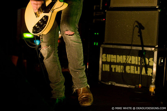 Summerbirds in the Cellar