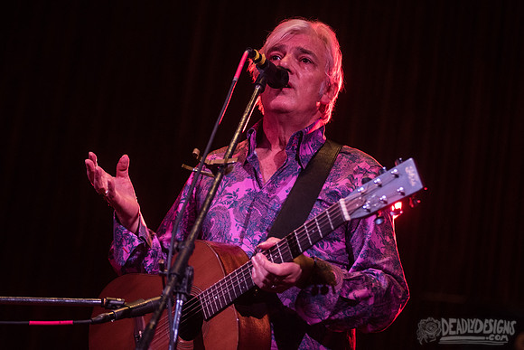 Robyn Hitchcock