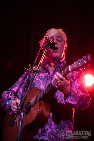 Robyn Hitchcock