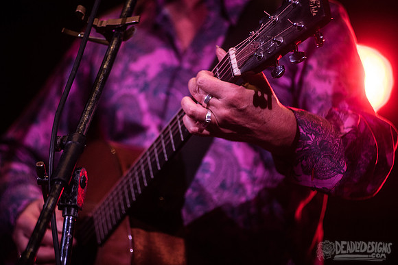 Robyn Hitchcock