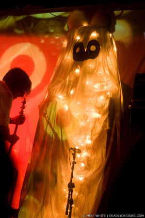 The Octopus Project