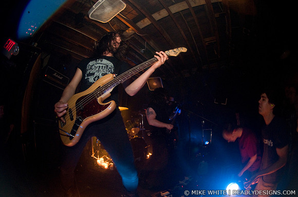 Wolves in the Throne Room