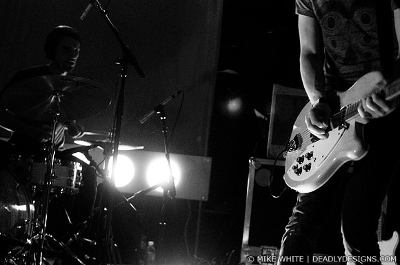Summerbirds in the Cellar
