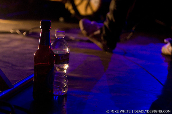 Summerbirds in the Cellar