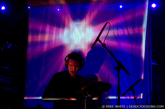 Summerbirds in the Cellar