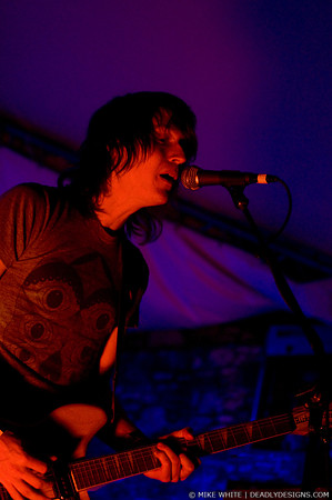 Summerbirds in the Cellar