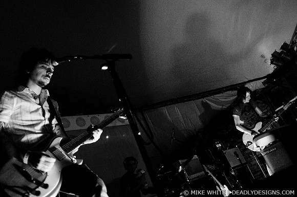Summerbirds in the Cellar
