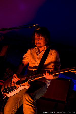 Summerbirds in the Cellar