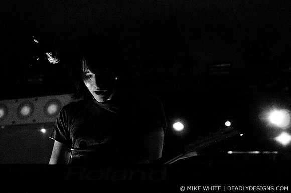 Summerbirds in the Cellar