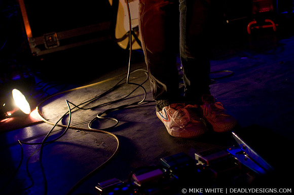 Summerbirds in the Cellar