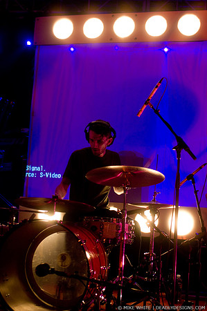 Summerbirds in the Cellar