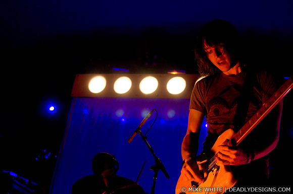 Summerbirds in the Cellar