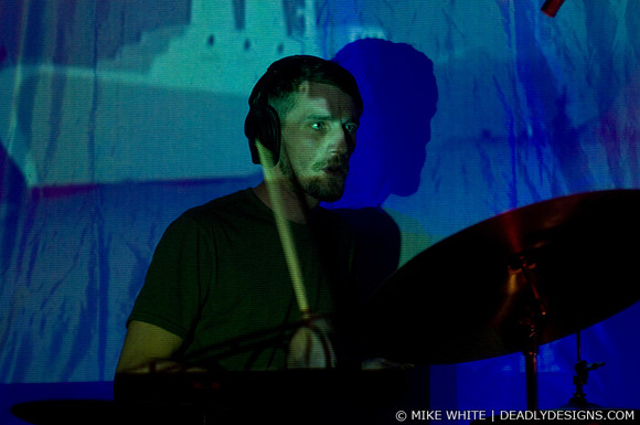 Summerbirds in the Cellar