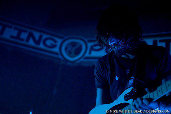 The Whigs
