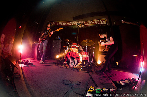 The Whigs