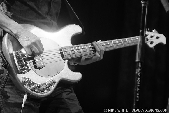The Breeders