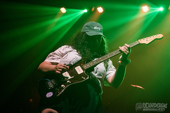 Palehound