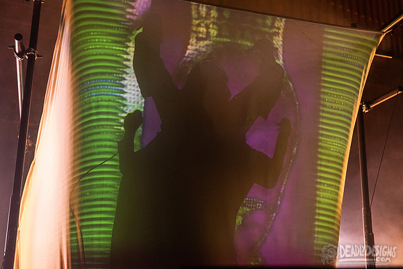 Skinny Puppy